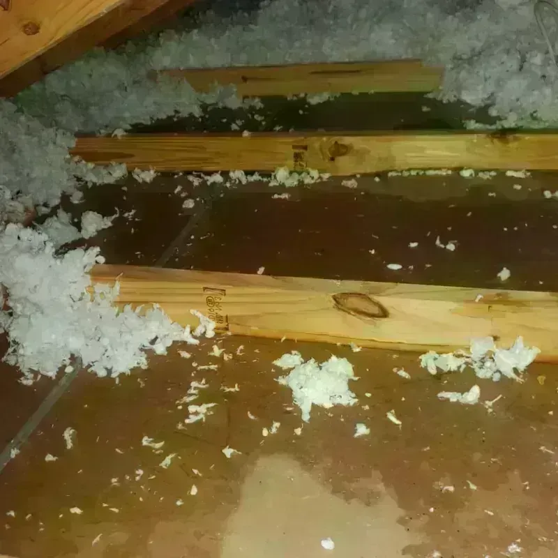 Attic Water Damage in West Jordan, UT